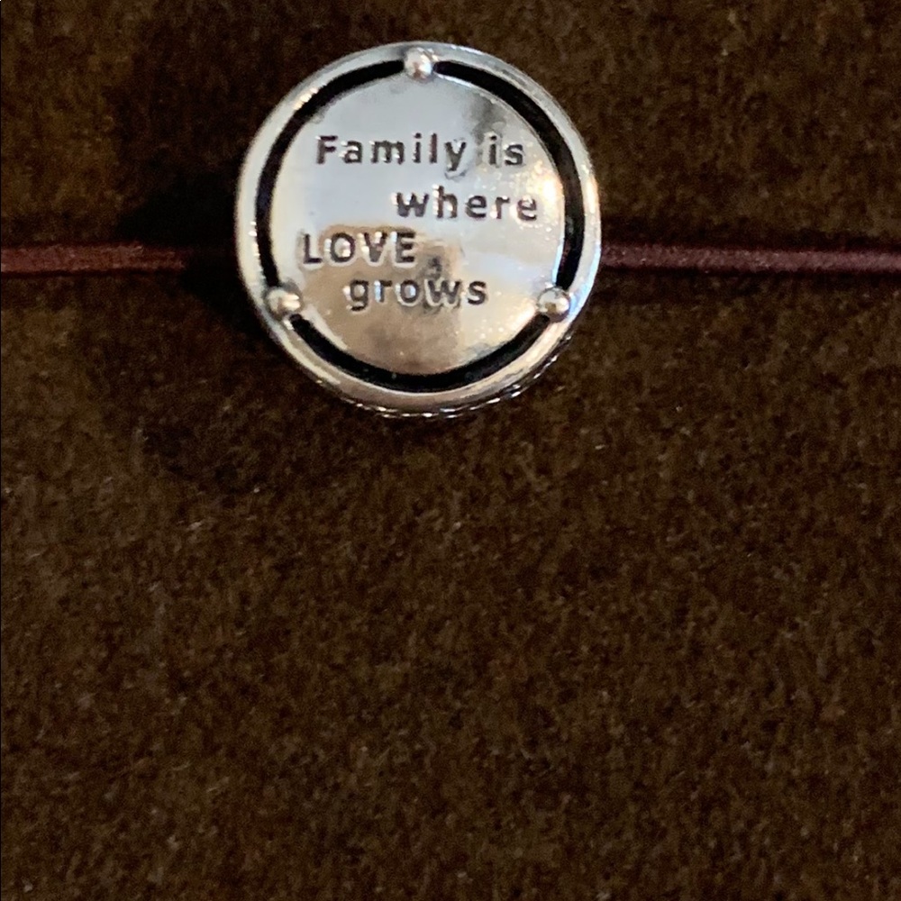 Pandora charm